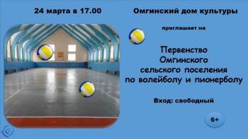 Спорт: Первенство Омгинского сельского поселение по волейболу и пионерболу Вятские Поляны 