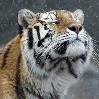 Кожевников Вятские Поляны