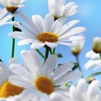 Рамазанова Вятские Поляны