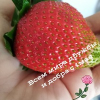 Кузьмина Вятские Поляны