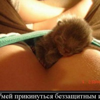 Шушков Вятские Поляны
