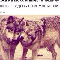 Токранова Вятские Поляны