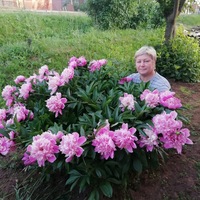 Буторина Вятские Поляны