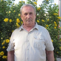 Гуляев Вятские Поляны